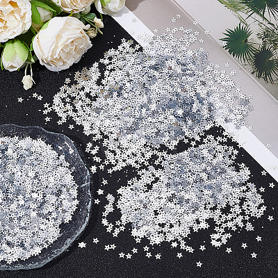 100G PET Paillette/Sequins Pendants KY-CY0001-24B-1