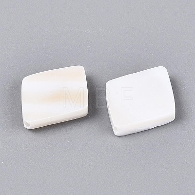 Natural Freshwater Shell Beads BSHE-T014-46-1