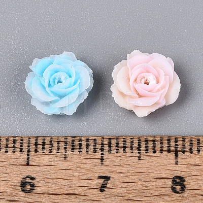 Opaque Resin Beads RESI-N052-01-1