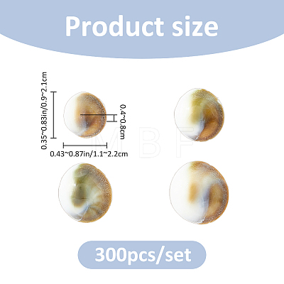 300Pcs Natural Shiva Eye Shell Cabochons SHEL-FH0001-28-1