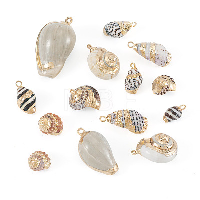 14Pcs 7 Styles Electroplated Natural Mixed Shell Pendants BSHE-TA0001-34A-1