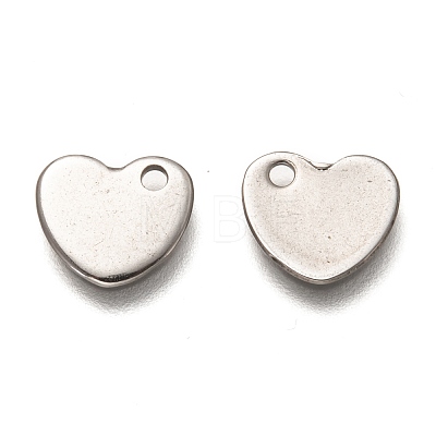 Non-Tarnish 304 Stainless Steel Charms STAS-P269-06P-1