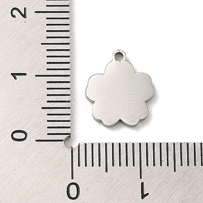 304 Stainless Steel Charms STAS-Q301-25P-1