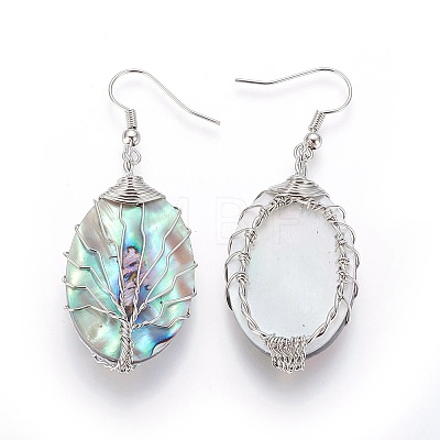 Abalone Shell/Paua Shell Dangle Earrings EJEW-L235-02P-1