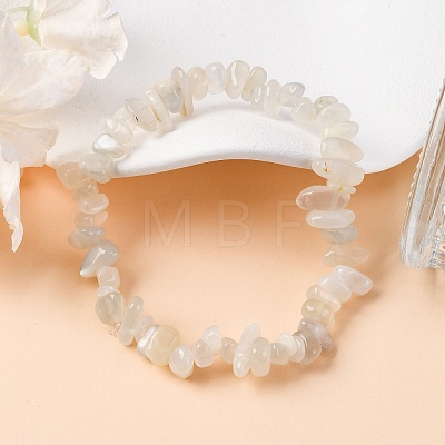 Natural White Moonstone Stretch Bracelets X-BJEW-JB03681-09-1
