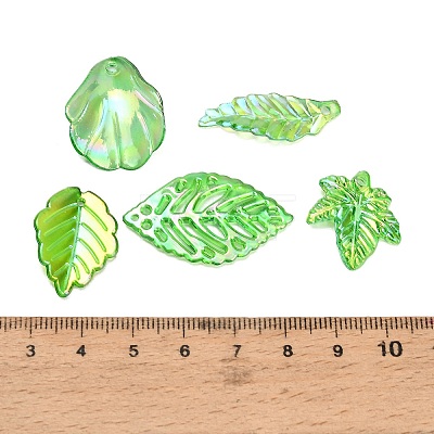 Transparent Acrylic Pendants AC-CBAE38D-02A-1
