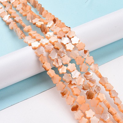 Natural Freshwater Shell Beads Strands SHEL-H002-03C-1