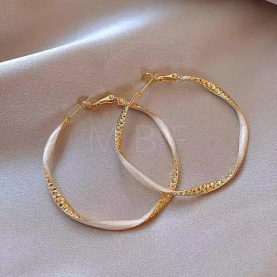 Alloy Enamel Hoop Earrings FS-WG76269-02-1