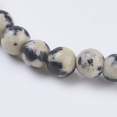 Natural Dalmation Jasper Beads Strands G-G515-4mm-06-1