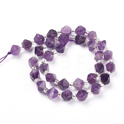 Natural Amethyst Beads Strands G-Z014-09-1