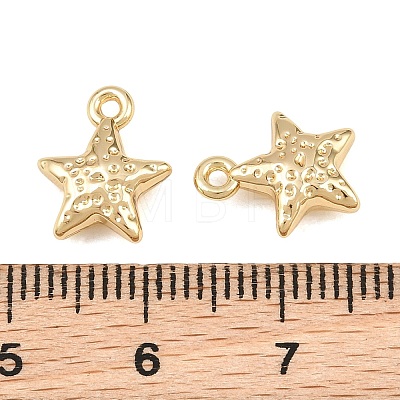 Alloy Charms AL-CBA83D5-07G-1