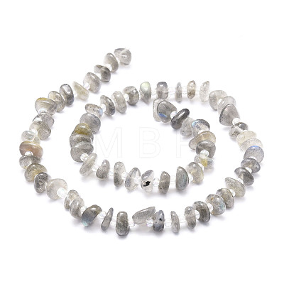 Natural Labradorite Beads Strands G-E569-J08-1