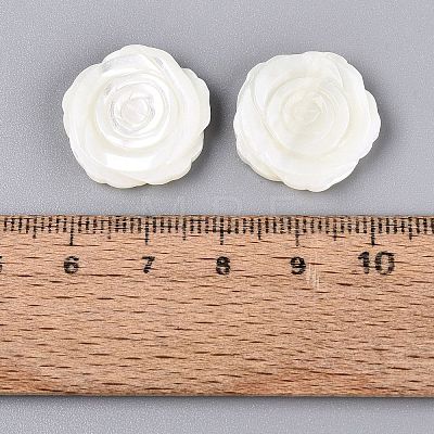 Natural Trochus Shell Carved Beads SHEL-Q028-11-1