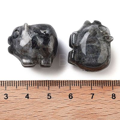 Natural Larvikite Carved Figurines DJEW-L023-C03-1