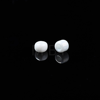 Glass Seed Beads SEED-S060-A-979-1