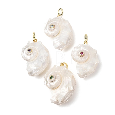 Natural Couch Shell Pendants SH-CBAB405-02G-1