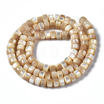 Natural Trochid Shell/Trochus Shell Beads Strands SSHEL-S266-016B-02-1