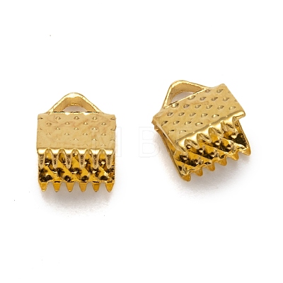 Iron Ribbon Crimp Ends IFIN-ZX025-G-1