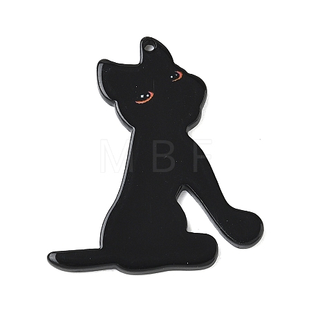 Printed Acrylic Pendants OACR-T032-02-1