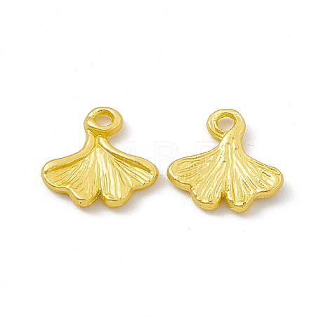 Rack Plating Alloy Charms FIND-G045-39MG-1
