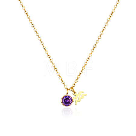 Stainless Steel Pace Purple Cubic Zirconia Birthstone Zodiac Aquarius Pendant Necklaces for Women ZA6688-3-1