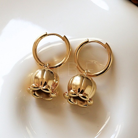 Brass Hoop Earrings for Women WG021FE-01-1
