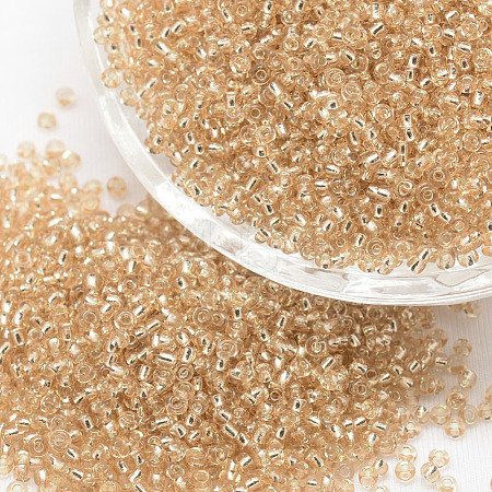 8/0 Transparent Glass Round Seed Beads SEED-J010-F8-L36-1
