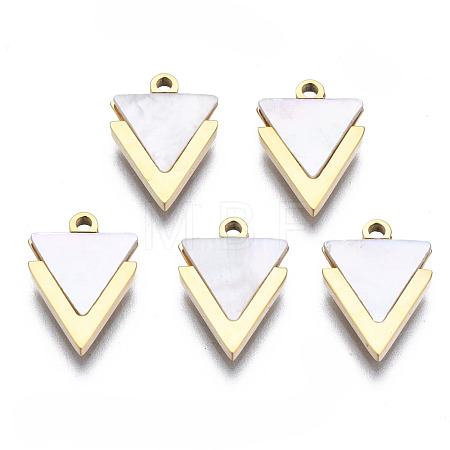 316 Surgical Stainless Steel Charms STAS-N097-043-1