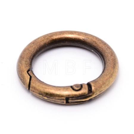 Alloy Spring Gate Rings AJEW-WH0129-48A-AB-1