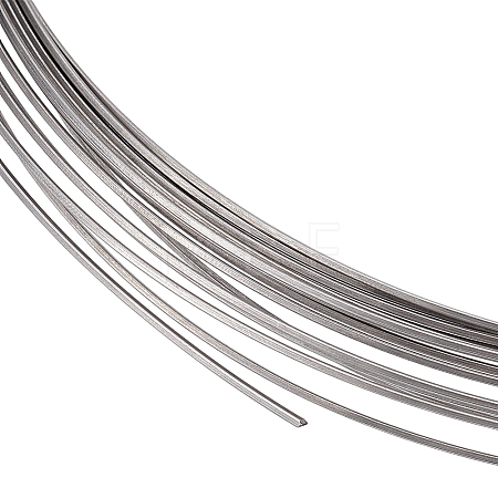 316 Surgical Stainless Steel Wire TWIR-WH0008-01A-P-1