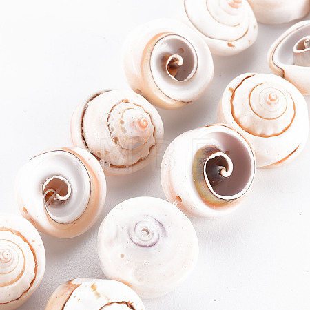 Natural Spiral Shell Bead Strands X-SSHEL-N034-106-1