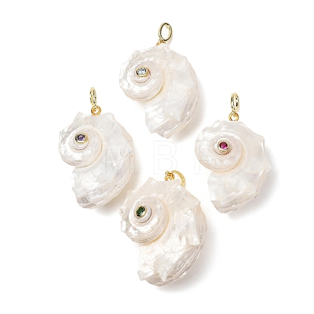Natural Couch Shell Pendants SH-CBAB405-02G-1