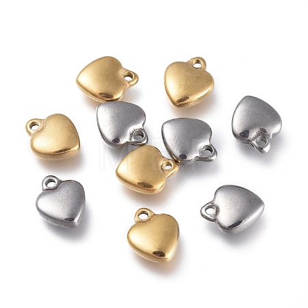 304 Stainless Steel Charms STAS-G236-01-B-1