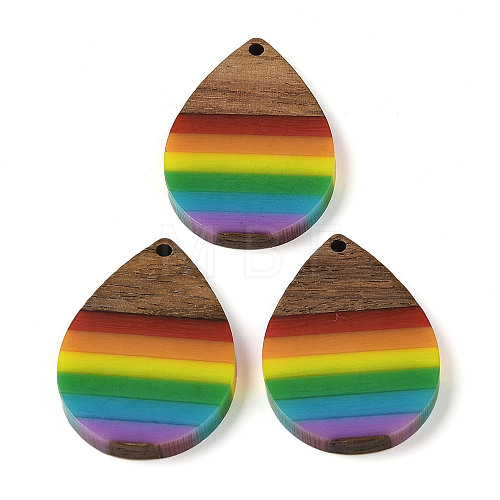 Pride Rainbow Theme Resin & Walnut Wood Pendants WOOD-K012-09B-1