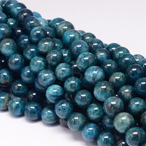 Natural Apatite Beads Strands G-P132-04-10mm-1