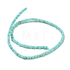 Dyed Natural Freshwater Shell Beads Strands BSHE-G039-07C-2