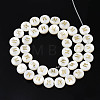 Natural Freshwater Shell Beads SHEL-S276-168M-2