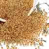 TOHO 8/0 Round Beads X-SEED-TR08-0701-1