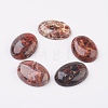 Natural Brecciated Jasper Flat Back Cabochons G-G741-22x30mm-02-1