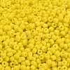 8/0 Opaque Colours Round Glass Seed Beads X-SEED-A010-3mm-42-3