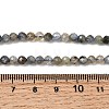 Natural Kyanite Beads Strands G-K366-C04-4mm-5