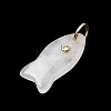 Natural Quartz Crystal Pendants X-G-A297-01G-14-2