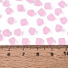 FGB Frosted Transparent Glass Seed Beads SEED-N013-03A-05-4