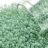 TOHO Round Seed Beads X-SEED-TR11-0144-1