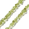 Natural Peridot Beads Strands X-G-E607-A06-1
