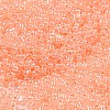 Ceylon Glass Seed Beads SEED-K009-02B-43-3