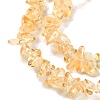 Spray Painted Transparent Glass Beads Strands X-GLAA-P060-01A-10-3