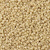 MIYUKI Round Rocailles Beads SEED-G007-RR0488-3