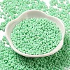 Glass Frosted Seed Beads SEED-K009-05B-05-2