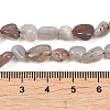 Natural Botswana Agate Nuggets Beads Strands G-B170-A01-5